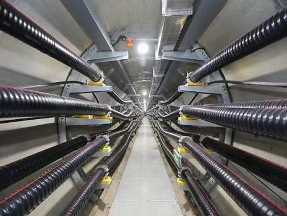 合力攻坚 创建电力廊道示范工程