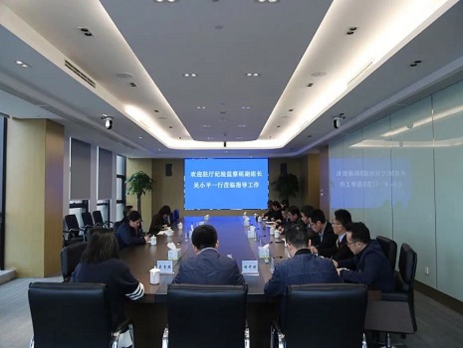 驻厅纪检监察组副组长吴小平一行到公司进行政治监督检查