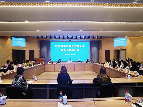 公司召开以案促改严肃财经纪律财务专题学习会