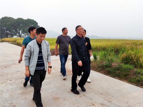公司党委副书记、董事、总经理严卫能赴松阳县全域土地综合整治项目调研慰问