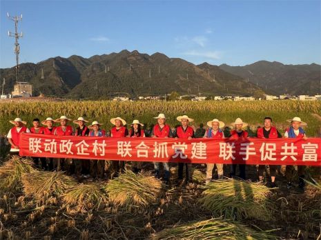 微信图片_232_proc.jpg